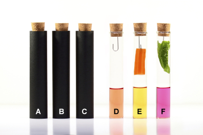 Echanges de gaz chez les végétaux - test au RC - conditions d'expérience (t = 12 h)